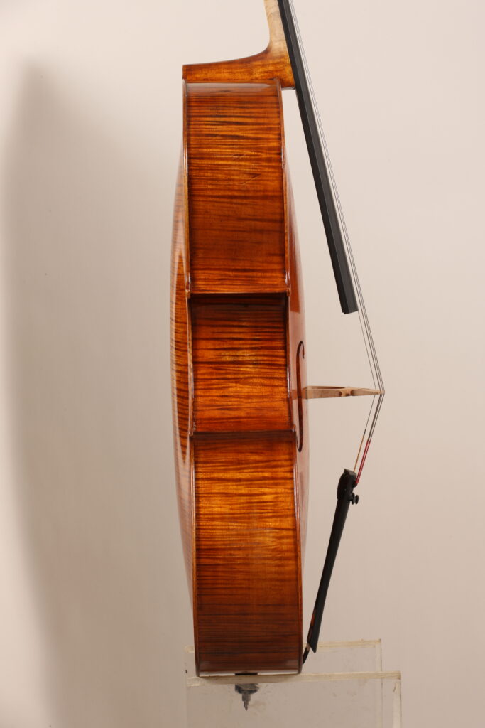 violoncello lato